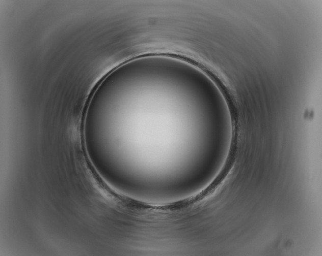 X0000095901513200801111157