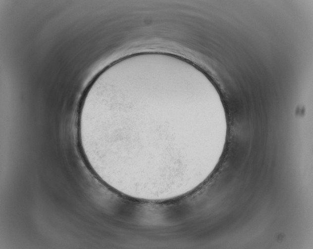 X0000095901514200801111157