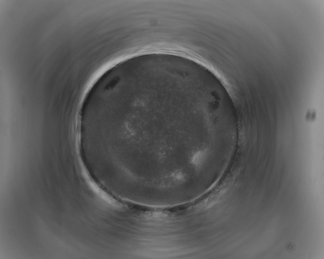 X0000095901515200801111157