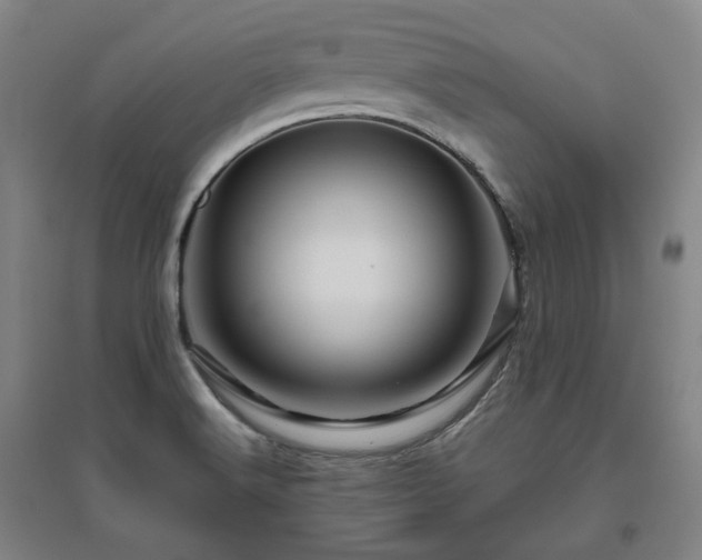X0000095901516200801111157