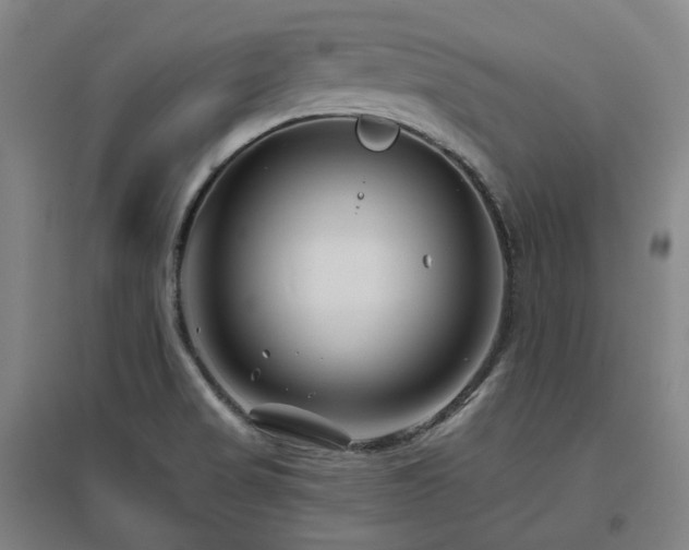 X0000095901517200801111157