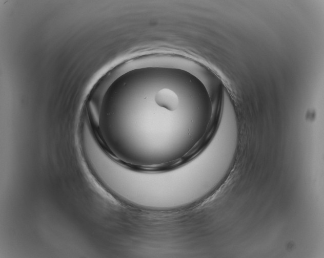 X0000095901518200801111157