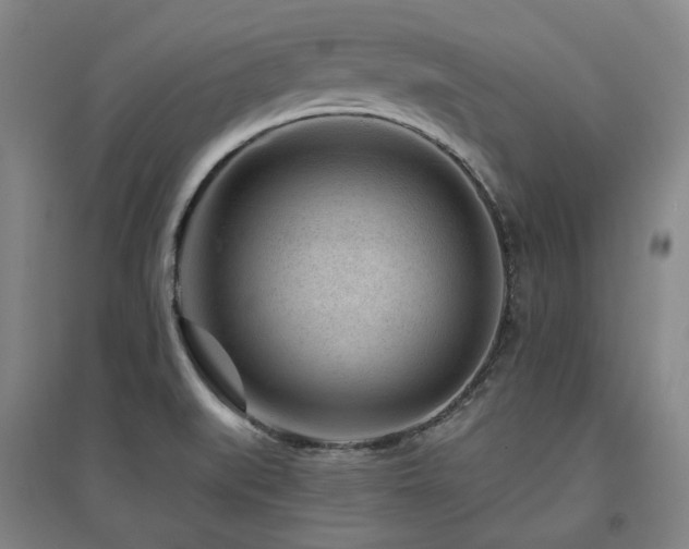 X0000095901519200801111157