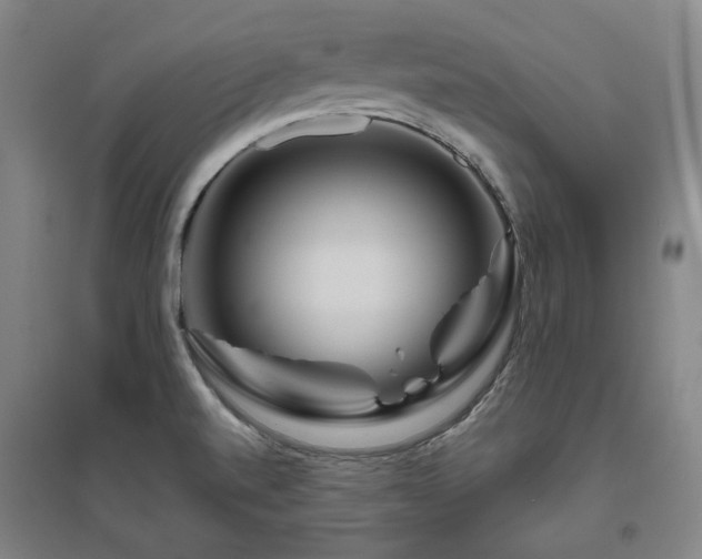 X0000095901520200801111157