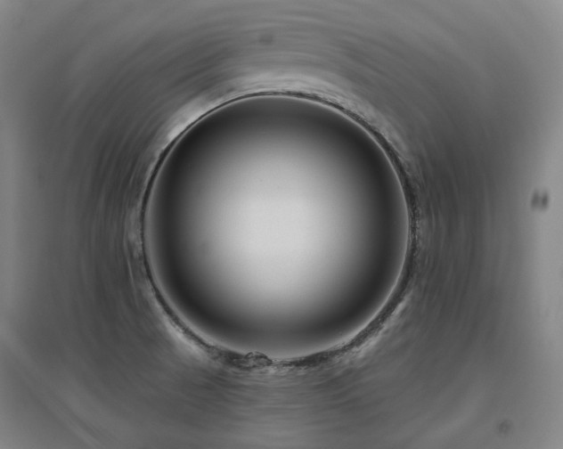 X0000095901521200801111157