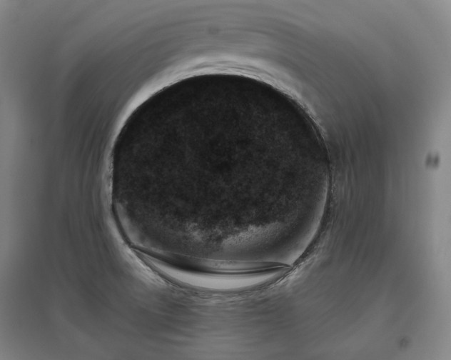 X0000095901522200801111157