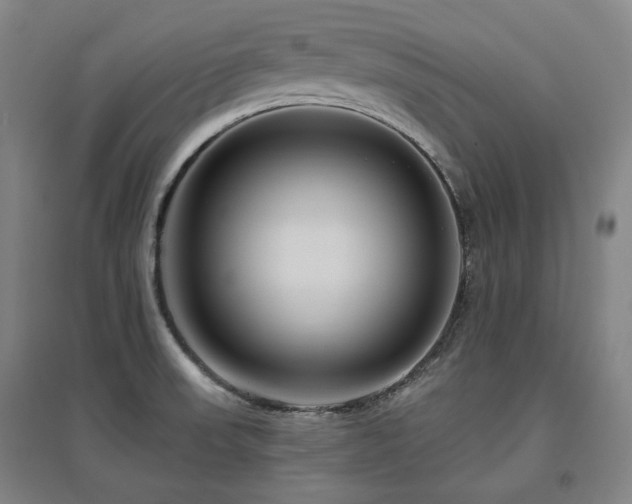 X0000095901523200801111157