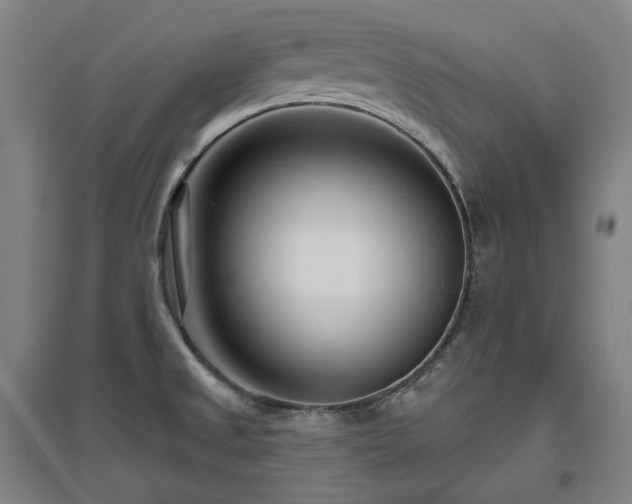 X0000095901525200801111157