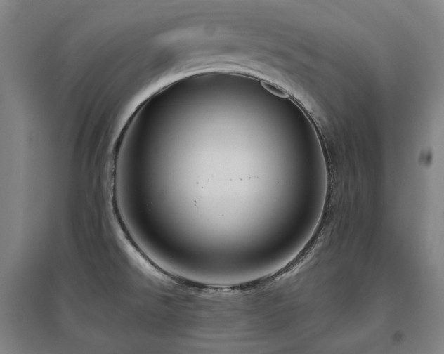 X0000095901526200801111157