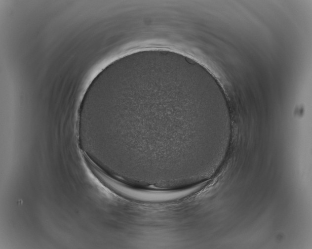 X0000095901527200801111157