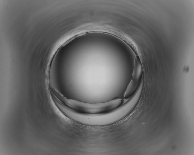 X0000095901528200801111158