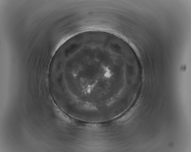 X0000095901529200801111158