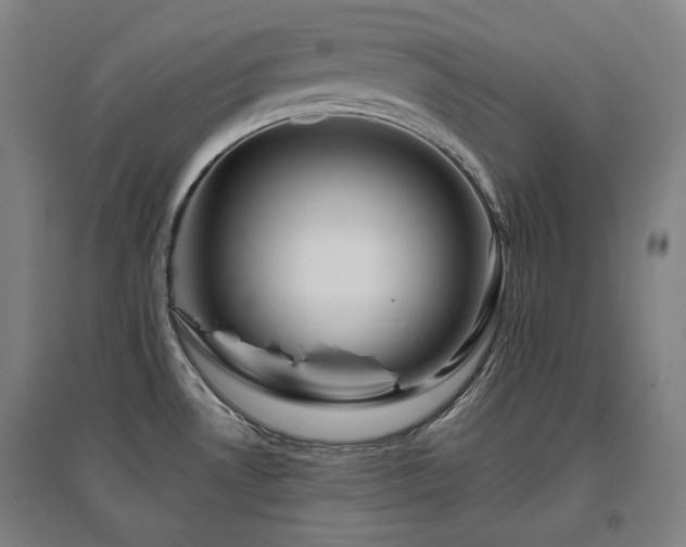 X0000095901530200801111158