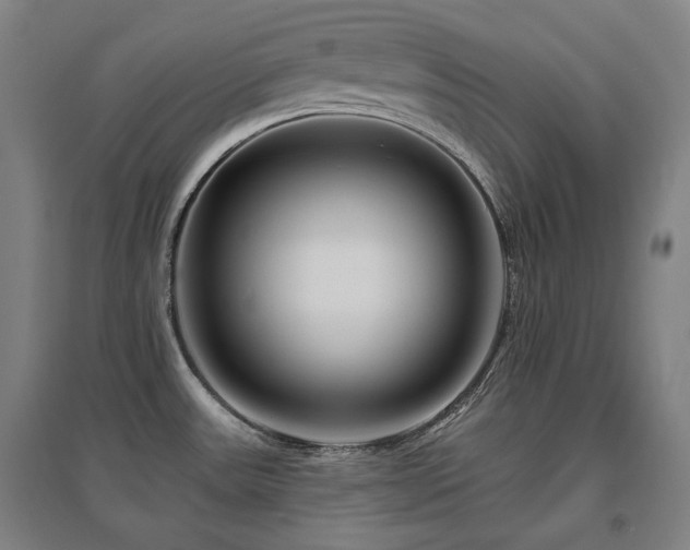 X0000095901531200801111158