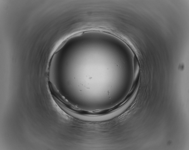 X0000095901532200801111158