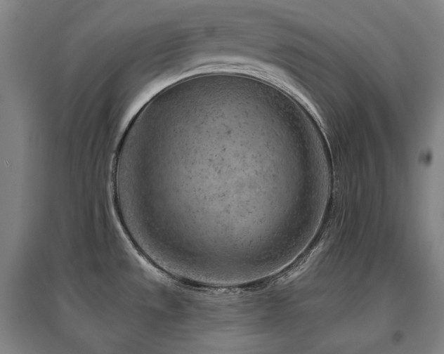 X0000095901533200801111158