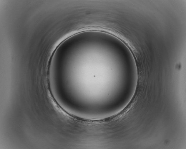 X0000095901534200801111158