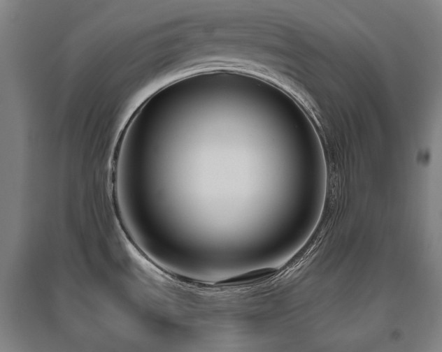 X0000095901535200801111158