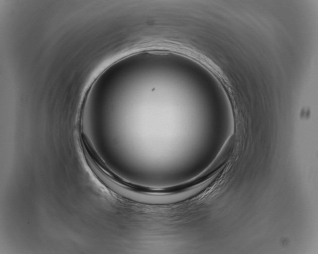 X0000095901536200801111158