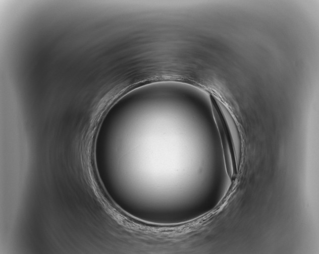 X0000095900001200801181255