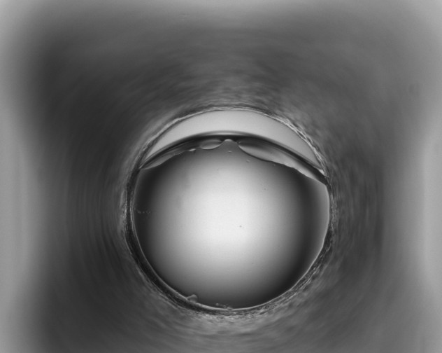 X0000095900005200801181255