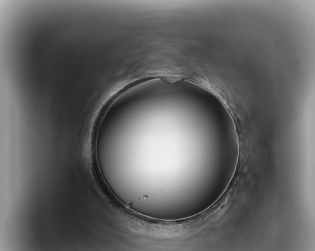 X0000095900008200801181255