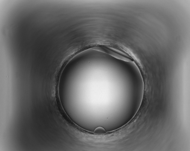 X0000095900010200801181255