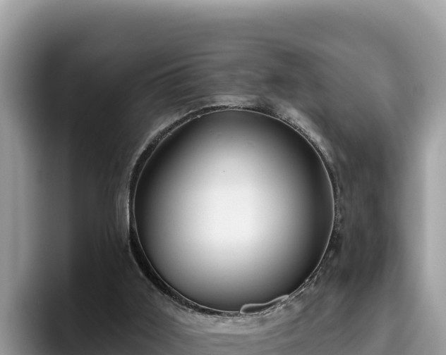 X0000095900011200801181255