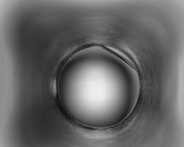 X0000095900020200801181255