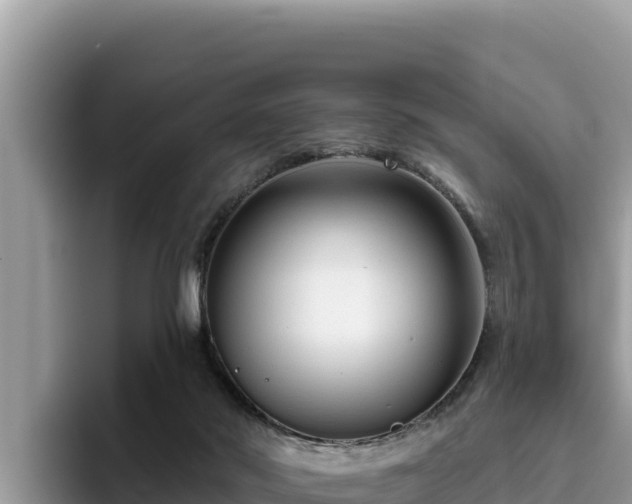 X0000095900022200801181255