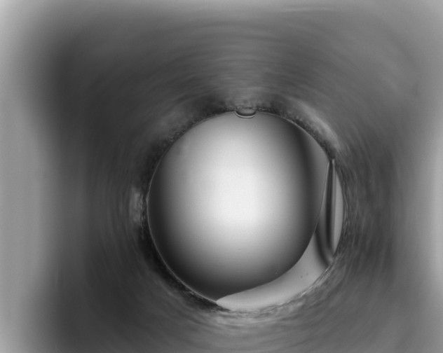 X0000095900025200801181255