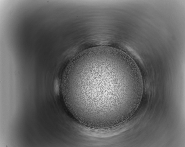 X0000095900026200801181255