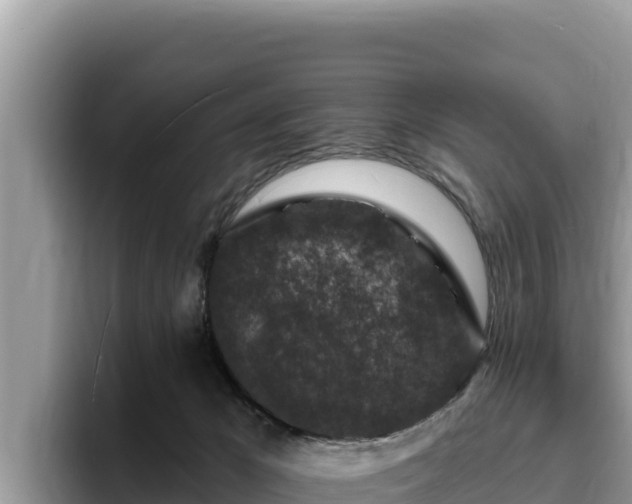 X0000095900029200801181255