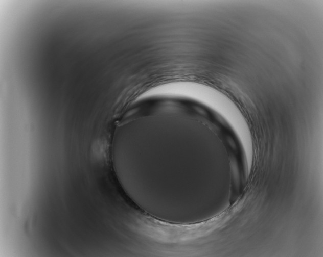 X0000095900035200801181255