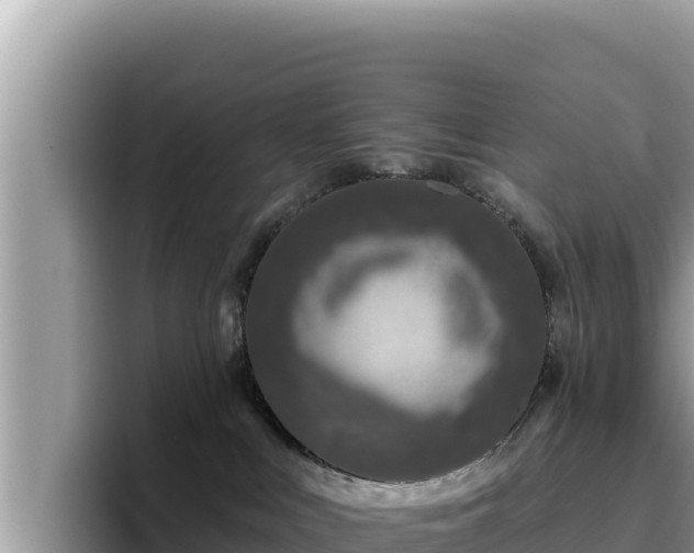 X0000095900043200801181255