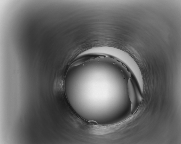 X0000095900045200801181255