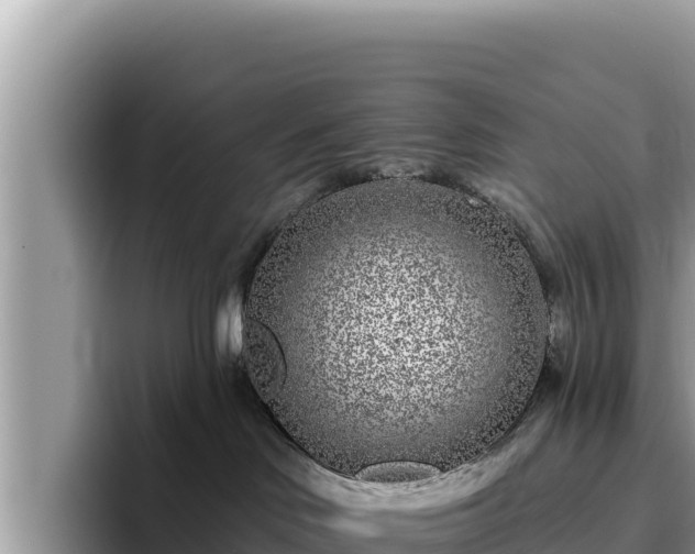 X0000095900046200801181255