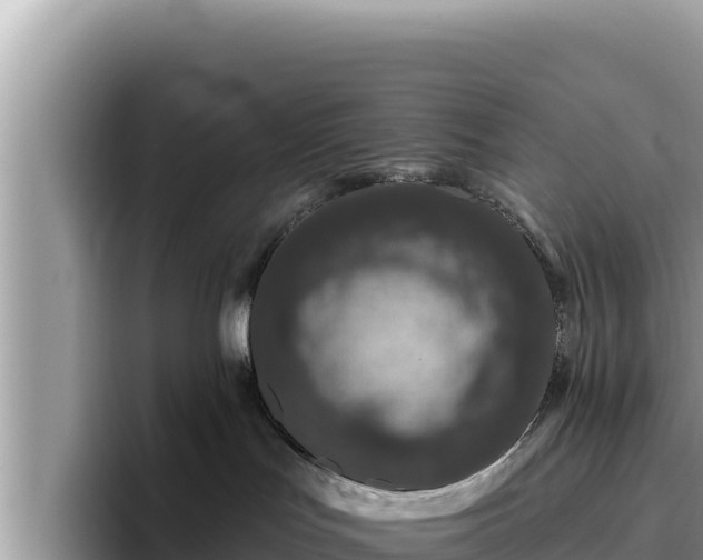 X0000095900047200801181254