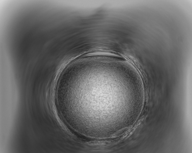 X0000095900049200801181254