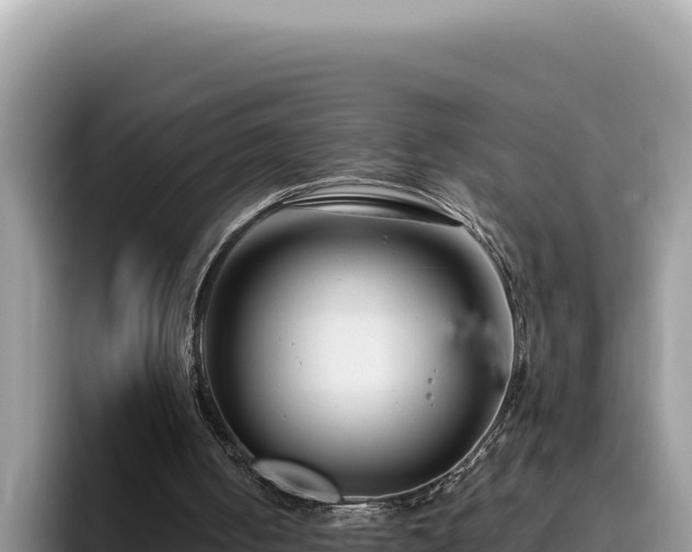 X0000095900050200801181254