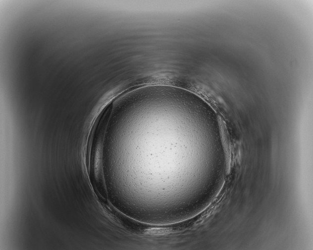 X0000095900051200801181254