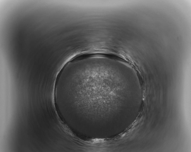 X0000095900052200801181254