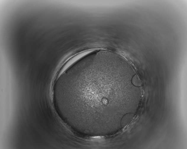 X0000095900053200801181254