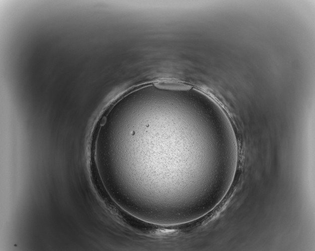 X0000095900055200801181254