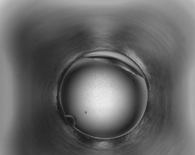 X0000095900058200801181254