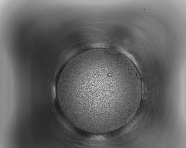 X0000095900061200801181254