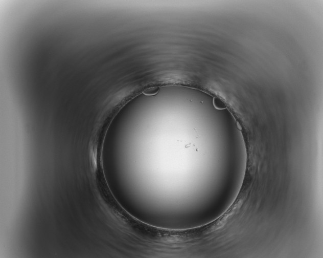 X0000095900062200801181254