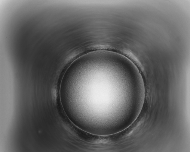 X0000095900063200801181254