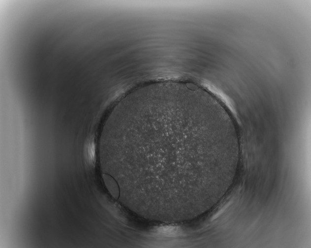 X0000095900067200801181254