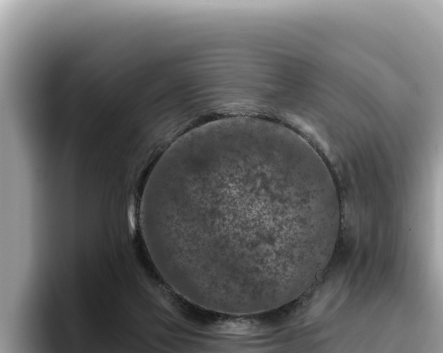 X0000095900069200801181254